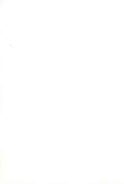 Twintail na Onnanoko Hon 1.2.3.Tsumechaimashita.