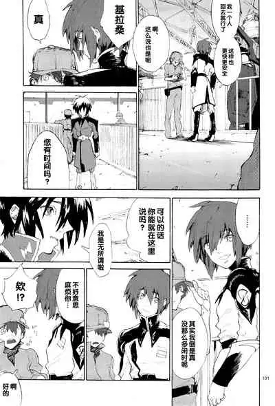 [NEO-de (Natsuzaka)] Tadashii Hito (Gundam Seed Destiny) [Chinese]