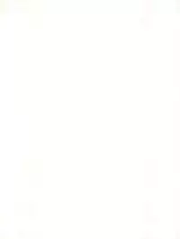 (C59) [Gambler Club (Kousaka Jun)] Let's Ra Mix 3 MAX HEAT (Bakusou Kyoudai Lets & Go!!)