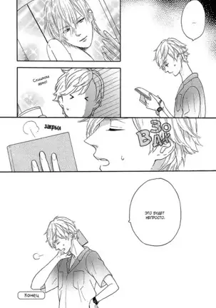 The Daydreamer Falls in Love