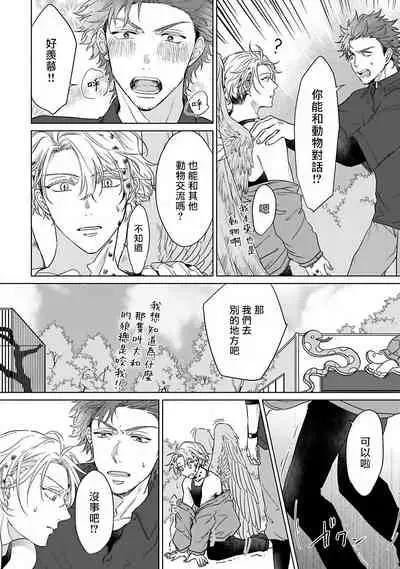 Fukurou no Koiwazurai | 猫头鹰的相思病