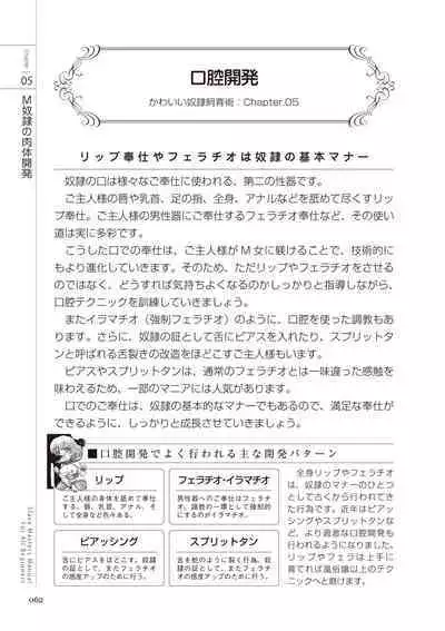 Zero kara Hajimeru SM Manual Kawaii Dorei Shiikujutsu