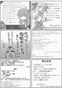 (Lyrical Magical 5) [SAZ (Various)] Hoppe ni Chu (Mahou Shoujo Lyrical Nanoha)