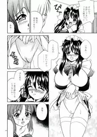 (C63) [Narimasuya (Akiba Wataru)] DOLLS DIARY 5