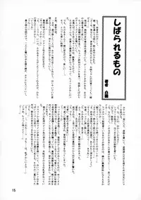 (C70) [Leaf Party (Nagare Ippon)] LeLe Pappa Vol. 9 (ToHeart2)