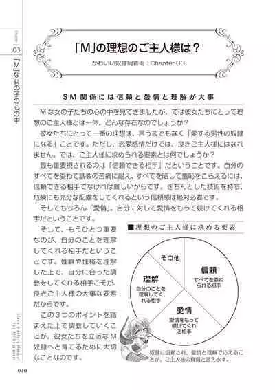 Zero kara Hajimeru SM Manual Kawaii Dorei Shiikujutsu