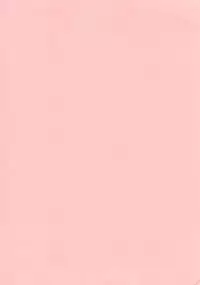 (COMIC1☆4) [Kamogawaya (Kamogawa Tanuki)] Nines SIDE-N (Mahou Shoujo Lyrical Nanoha)