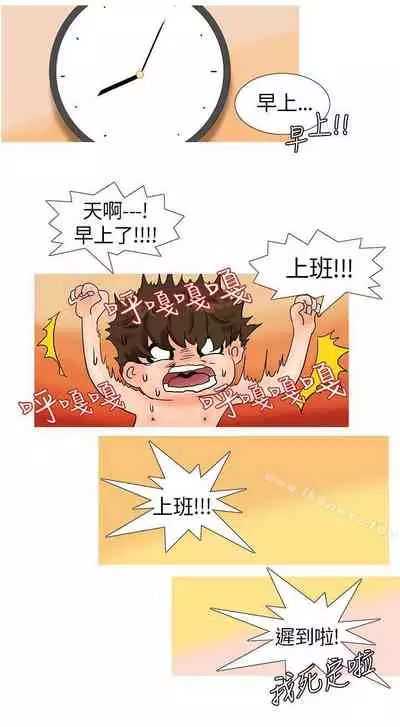 小野貓馴服手冊