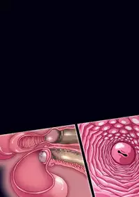 [Studio Mizuyokan (Higashitotsuka Rai Suta)] SMILE PARTY DL (Smile Precure!) [Digital]