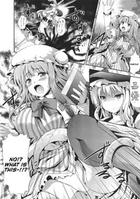 (C83) [An-Arc (Hamo)] EXTRA FLESH (Touhou Project) [English] [Doujin-Moe.us]