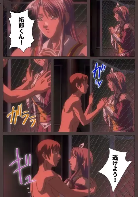 DISCIPLINE Daisanshou Complete Ban