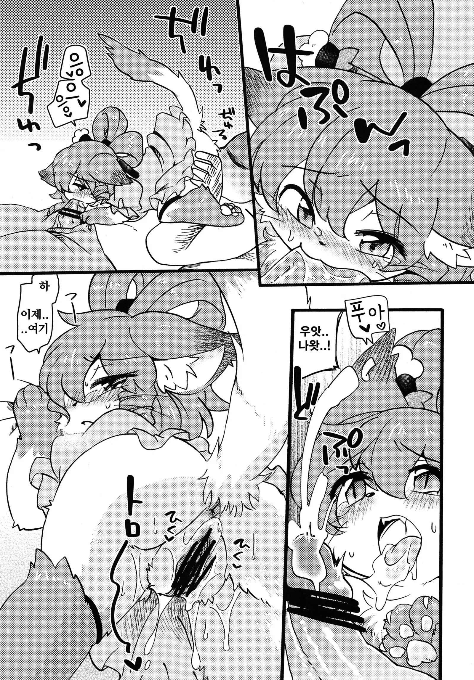 Dororicchi | 도로리치