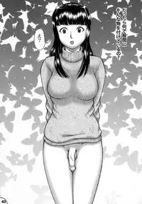 (C73) [ANA (Kichijouji Kitashirou)] Futa Hina - Beautiful Dreamer (Love Hina)