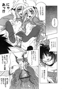 [Akazawa RED] Kupa Resort