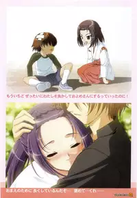 Maple Colors Fanside - Mediax Mook 238