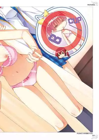 NobleWorks Official Visual Fanbook