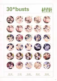 Natural 2 Duo Visual Fan Book