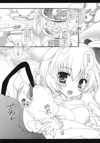 (C82) [Setoran (Itoupeko, Tannopoko)] Secret Secret (Touhou Project)