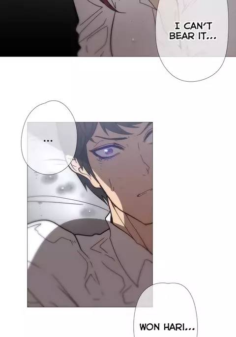 Household Affairs Ch.1-51