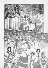 [Gun Ryuusei] Wakakusa Bishoujotai vol.4