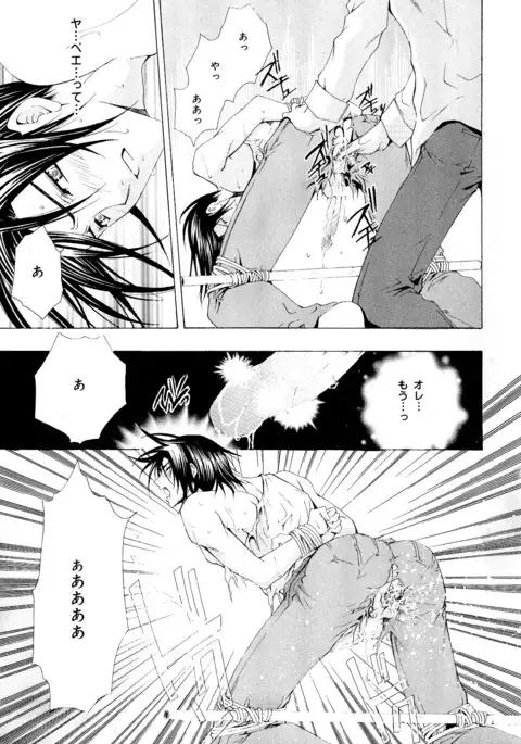 b-BOY Phoenix Vol.5 Bishonure Tokushuu