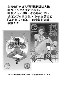 [From Japan (Aki Kyouma)] Eva Shuu (Neon Genesis Evangelion) [Digital]