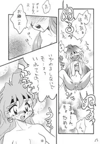 [Ginmomodou (Mita Satomi)] SLAYERS ADULT 13 (Slayers) [Digital]