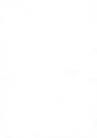 (C80) [Mikazuki Ondo (Hayashida)] Peach Hunter (Touhou Project)