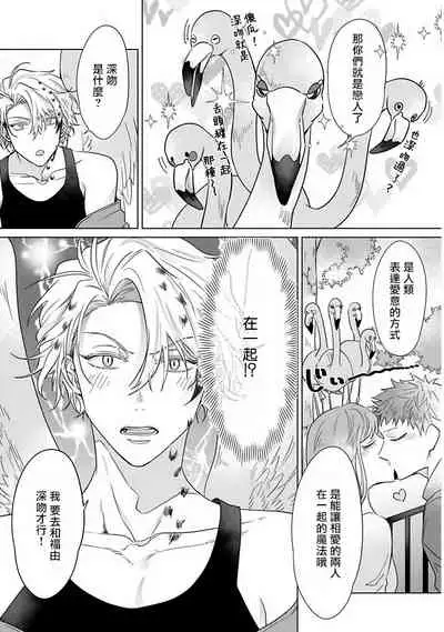 Fukurou no Koiwazurai | 猫头鹰的相思病 Ch. 1-4