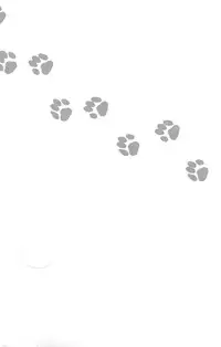 [Sabawo_Transistor Angel (380)] 103 Goushitsu no Neko