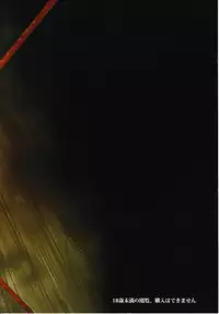 (C82) [Shijou Misaki (Satou Souji)] Tadashii Youko no Shitsukekata+ (Touhou Project)