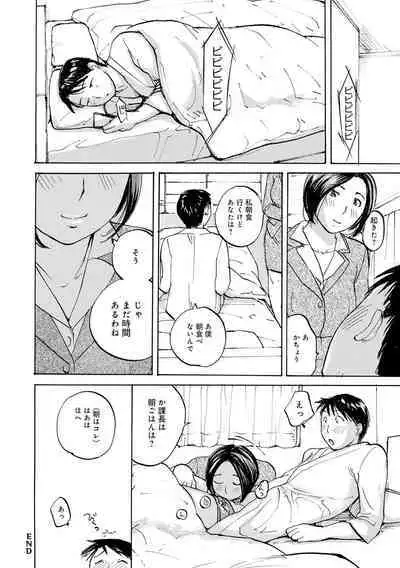 [Meika] Iretai Okusan [Digital]