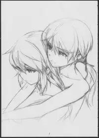 (C84) [JUNK STORY (Michairu)] with (Strike Witches)