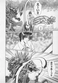 [Gun Ryuusei] Wakakusa Bishoujotai vol.4