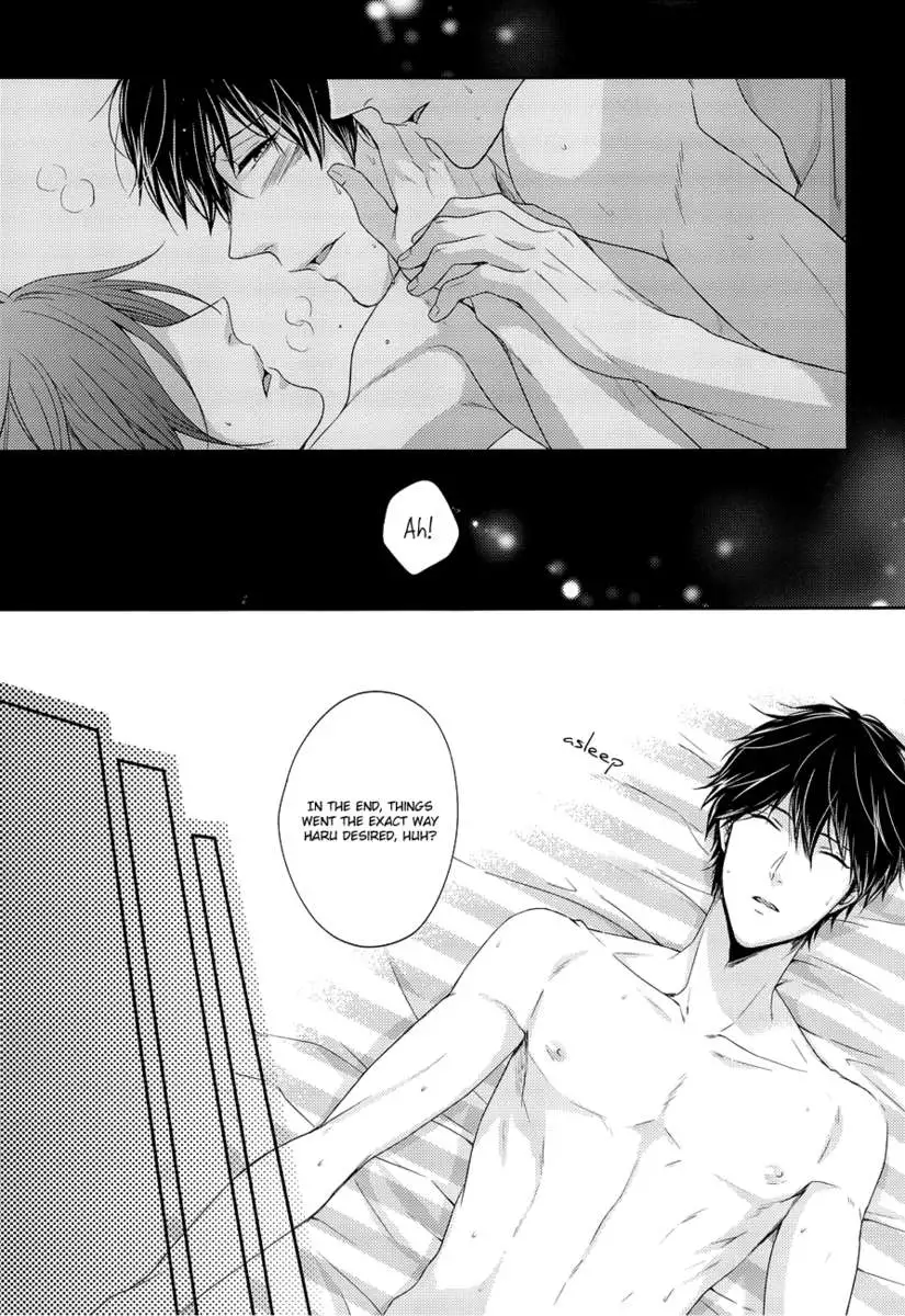 Please Forgive This Bad Dolphin