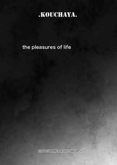 Adult Game mo Ganbaru zoi