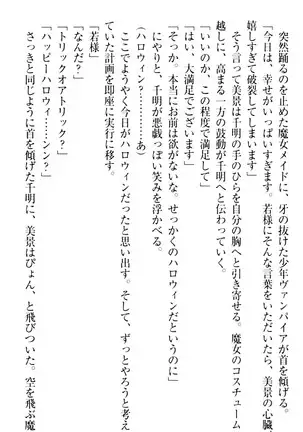 年上メイドの新婚日記