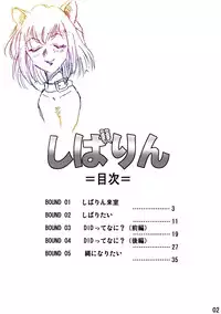 [Rojiurakan] Shibarin