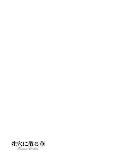 [B-RIVER] Mesuana Ni Chiru Hana [Digital]