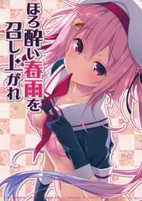 (SC2015 Autumn) [Kinokonomi (konomi)] Horoyoi Harusame o Meshiagare (Kantai Collection -KanColle-)