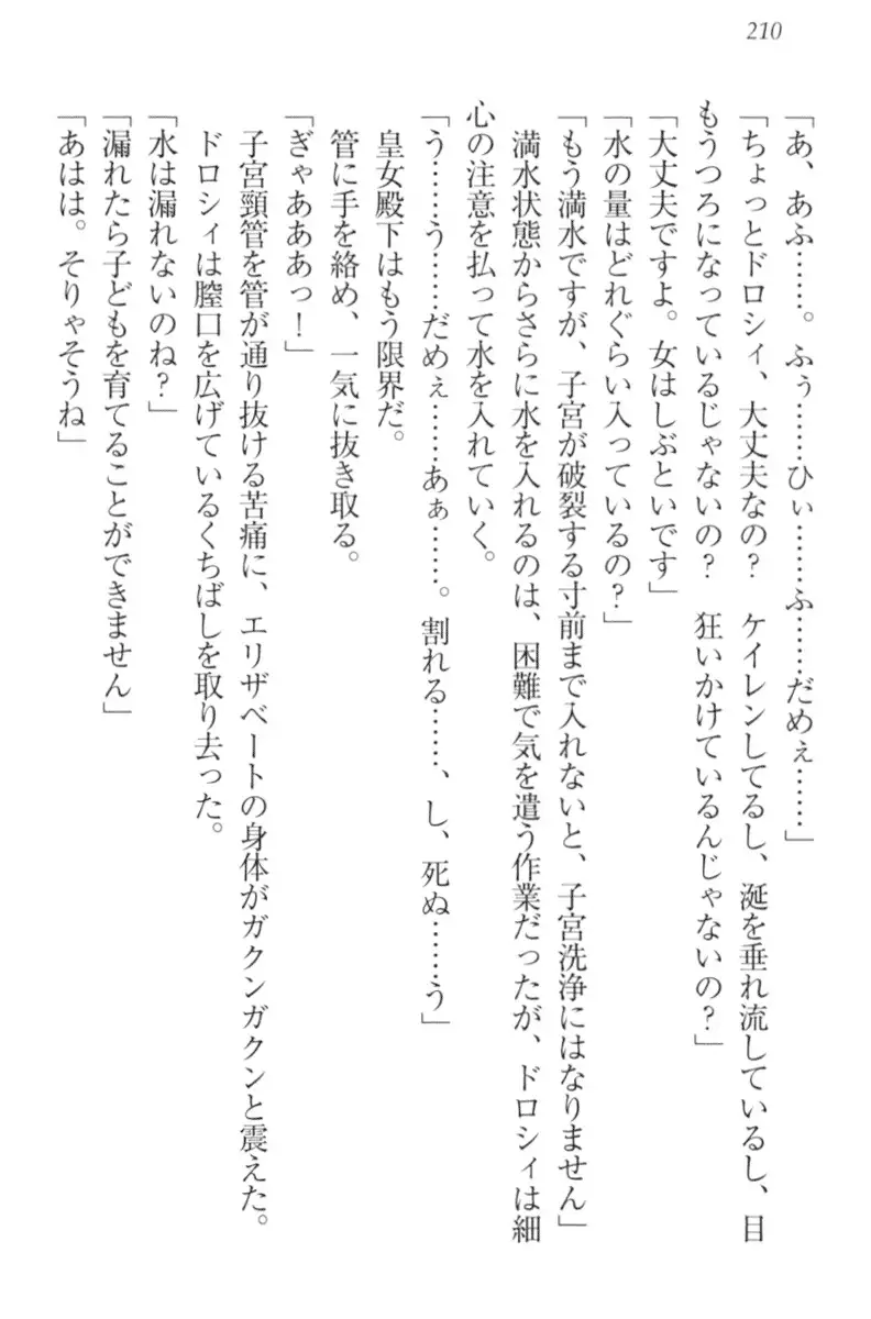 監獄城の囚人姫