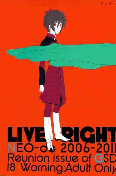 [NEO-de (Natsuzaka)] Tadashii Hito (Gundam Seed Destiny) [Chinese]