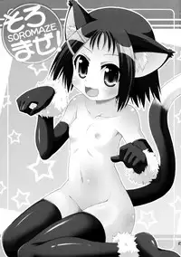 (Aggregate 3) [Saihate-Kukan (Hino Hino)] Soromaze! (Saki)