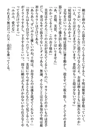 年上メイドの新婚日記