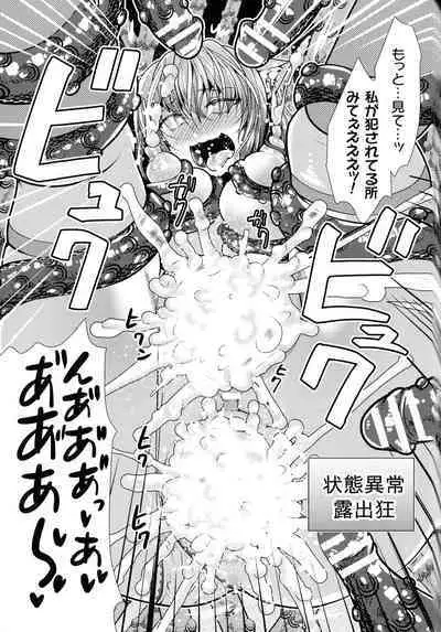 Mahou Shoujo ga Ochiru made - Until the Magical Girl Falls