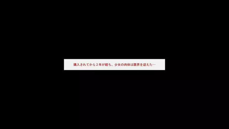 Shoujo Buppinka ~Kotei-shiki Niku Benki~