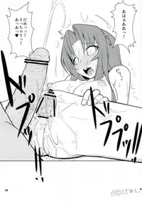 (C75) [Kaiteisinden (Kuroore, Rentaichou)] Toratama! (Toradora!)