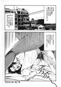 [Sanjou Tomomi] Shoujozuma Kachiku Nikki