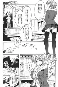 COMIC PURUMELO 2008-04 vol.16