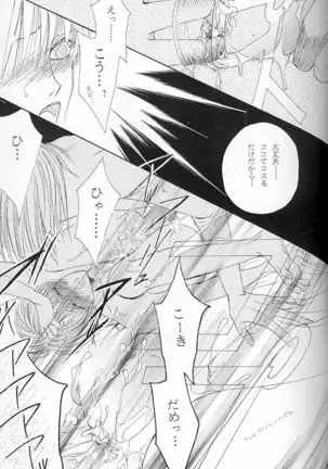 Papa Wa Musician Mama Wa J-Leaguer 2